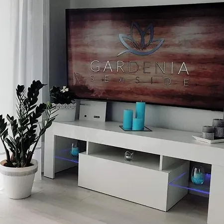 13 Diamond * Дзивнув